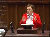 Poseł Katarzyna Lubnauer - Wystąpienie z dnia 29 listopada 2016 roku.