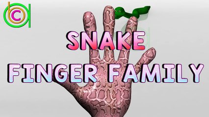 Cute Snake Finger Family | Crazy Finger Family (Daddy Finger) Nursery Rhymes in 3D