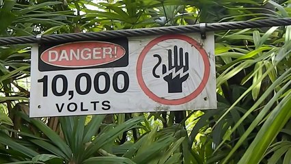 Free Stock Footage Jurassic Park 10,000 Volts Sign