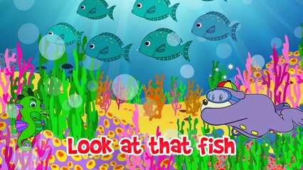 Nasheed - Allah Created Everything by Zaky