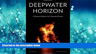 FAVORIT BOOK Deepwater Horizon: A Systems Analysis of the Macondo Disaster BOOOK ONLINE