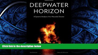 READ THE NEW BOOK Deepwater Horizon: A Systems Analysis of the Macondo Disaster BOOOK ONLINE