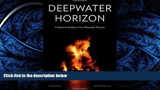 READ book Deepwater Horizon: A Systems Analysis of the Macondo Disaster BOOK ONLINE
