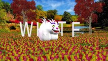 Learn Colors - Nursery Rhymes Bear Color Song With Lyrics - 3D Color Song For Children