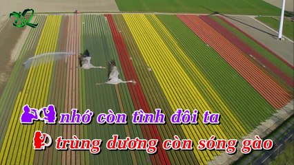 Tinh Ca Người Đi Biển | Đoàn Phi - Ánh Minh | Karaoke Beat