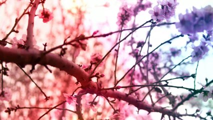 Amazing Earth : Places from around the world 002 1080p