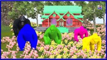 Wild Animals Cartoon Colorful Colors Song ||3d Cartoon Animations Kids, Toddlers, & Children Babies
