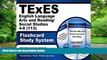 Online TExES Exam Secrets Test Prep Team TExES English Language Arts and Reading/Social Studies