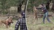 Man Punches A Kangaroo In The Face To Rescue His Dog 