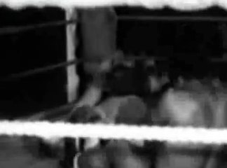 DaraSingh wrestling with Kingkong