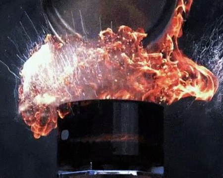 CRITICA DE ANIMALES VS HUMANOS 1º PARTE - MALTRATO ANIMAL - POLICIAS CORRUPTOS PREPOTENTES - GENTE DESCEREBRADA