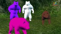 The Bear Colors For Children to Kids Learning Colours - Learn Colors For Toddlers