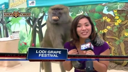 ❤ HAFTANIN REZİLLERİ SEÇİLDİ İŞTE BÖYLE REZİL OLDULAR 2017