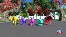 Wild animals finger family 3D animated songs - Dinosaurs lion Bear Finger family Rhymes for Children