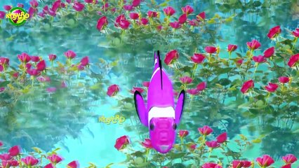Top 1 Finger Family Songs || 3D Animated Cartoon Finger Family || Cartoon Finger Family