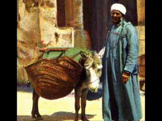 يا صباح الخير ياللي معانا