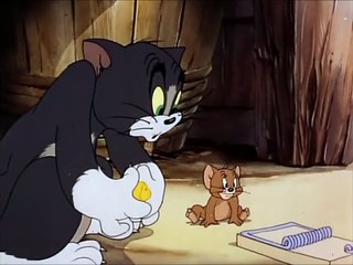 Tom and Jerry, 8 Episode - Fine Feathered Friend 02