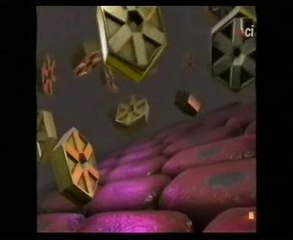 Cetoacidosis diabetica: Autopsia forense