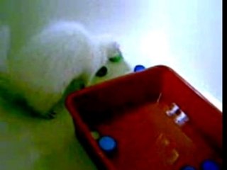 Dragann et les bouchons