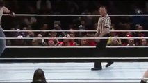 WWE Highlights - Brock Lesnar vs Bray Wyatt & Luke Harper 03