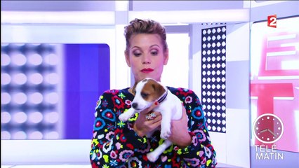 Un site pour cadeaux insolites