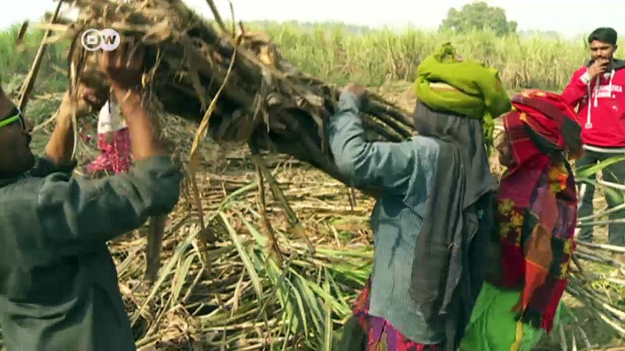 Rural India bears brunt of cash crunch | DW News
