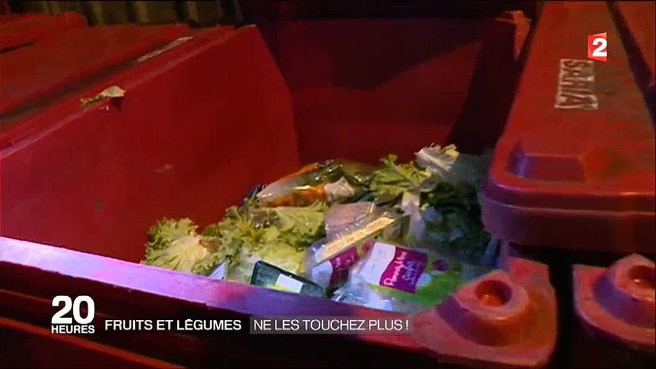 Des jeunes font leurs courses de fruits et légumes... dans les poubelles des supermarchés ! Regardez
