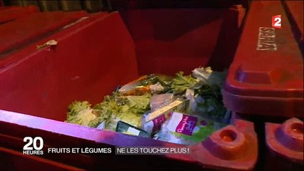 Des jeunes font leurs courses de fruits et légumes... dans les poubelles des supermarchés ! Regardez
