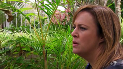 Home and Away 6568 6th December 2016