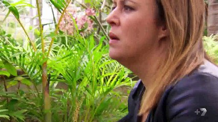 Home and Away 6568 6th December 2016