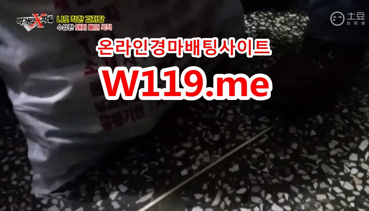 제주경마결과,에이스경마 ↘T 119 . ME ↙ 미사리경정