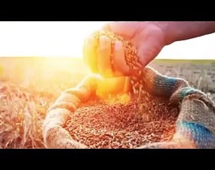Food....don't waste food....