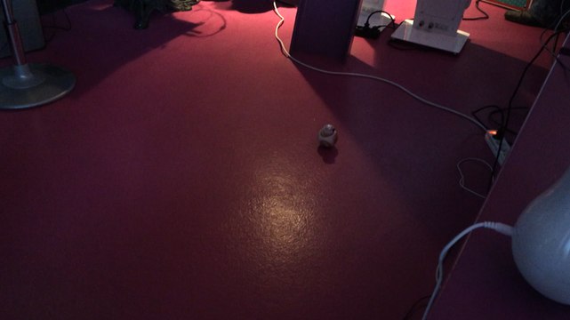 Du monde pour Silic#Orne Vallée