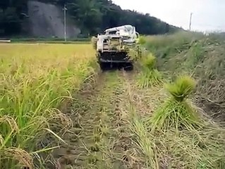 Very Funny and stunning funny video clips 2016 you cant stop laugh (3)