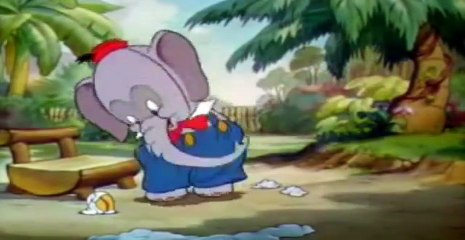 Kratki Crtaci - Cira Na Rodjendanu