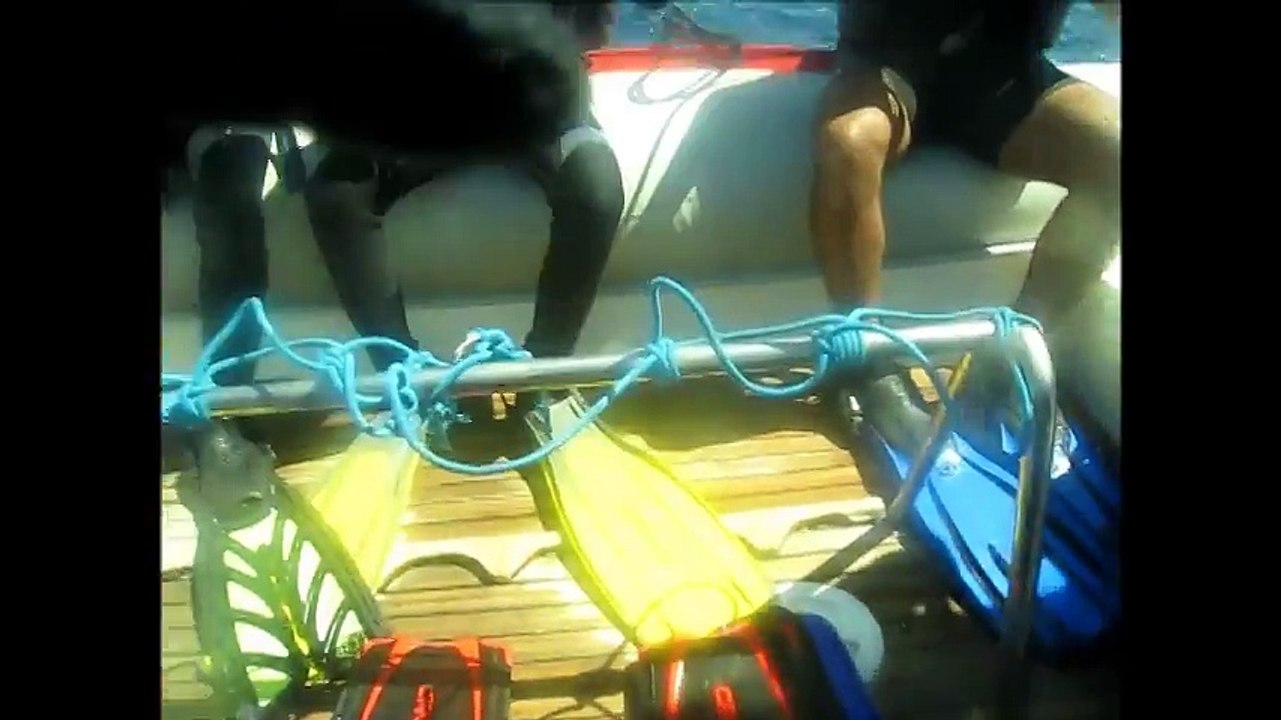 Diving In  Marsa Alam, Red Sea - Egypt