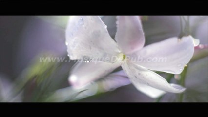 pub Dior J'Adore - Grasse 2016 [HQ]