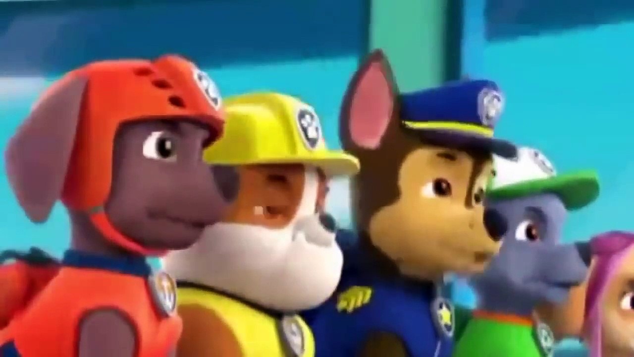 Animation Movies For Kids 2016 In Urdu Pups Save the Penguins Pups Save a Dolphin Pup