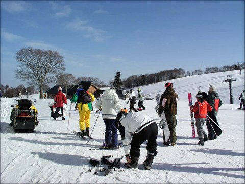 ZOO Choo Choo Train remix