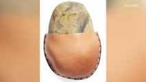 Consumers Troll Nordstrom Website Selling $85 Rock