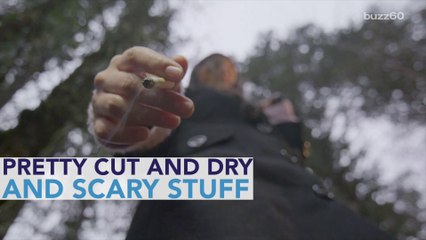 Even One Cigarette A Day Drastically Increases Health Risks