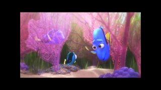 Finding Dory || Latest Bollywood Movie 2017