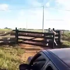 Pessoal da cidade quando vai pra fazenda