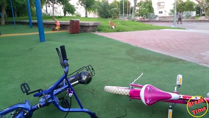 BADASS Cats Get REVENGE on ANNOYING Owner - Funny Compilation 2016