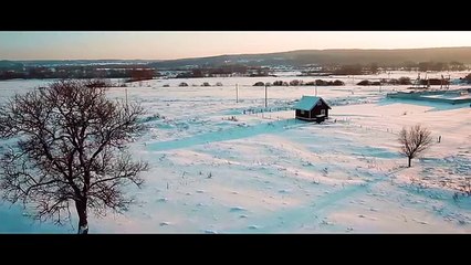 Sladja Allegro - Jelen