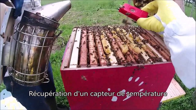 Installation et utilisation pédagogique de ruches au lycée des Andaines de la Ferté-Macé