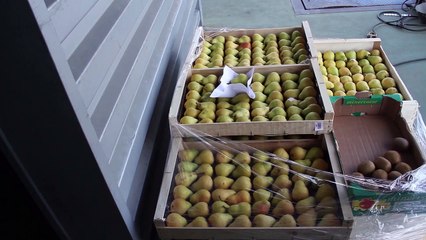Projet de réduction du gaspillage alimentaire au Centre Hospitalier de Perpignan