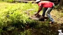 Most Amazing Wild Animal Attack #2  World s Biggest Anaconda Found in Amazon River