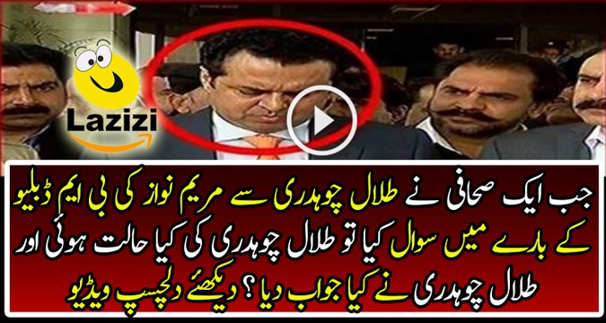 Talal Chaudhry Lost All Senses To Defend Maryam Nawaz on BMW