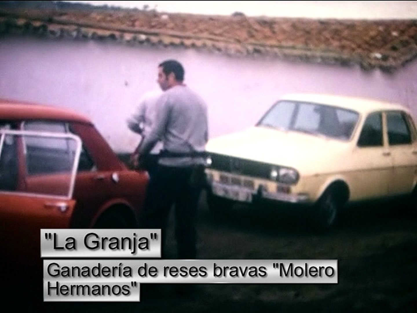 Finca Hermanos MOLERO "La Granja" , Vadillo de la Güareña (Zamora), Toro de  lidia - Vídeo Dailymotion